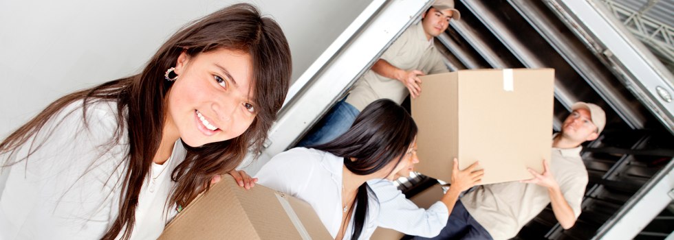 Professional Removalists Bakers Creek NSW